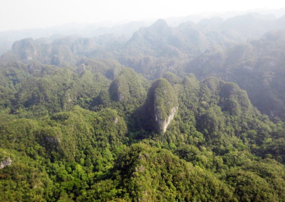 [-]Phát[-]hiện[-]khu[-]rừng[-]như[-]Sơn[-]Đoòng[-]thứ[-]hai